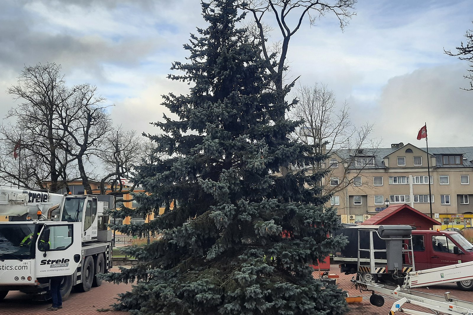 Į Kretingos Rotušės aikštę atkeliavo Kalėdų eglė   (renginių programa)