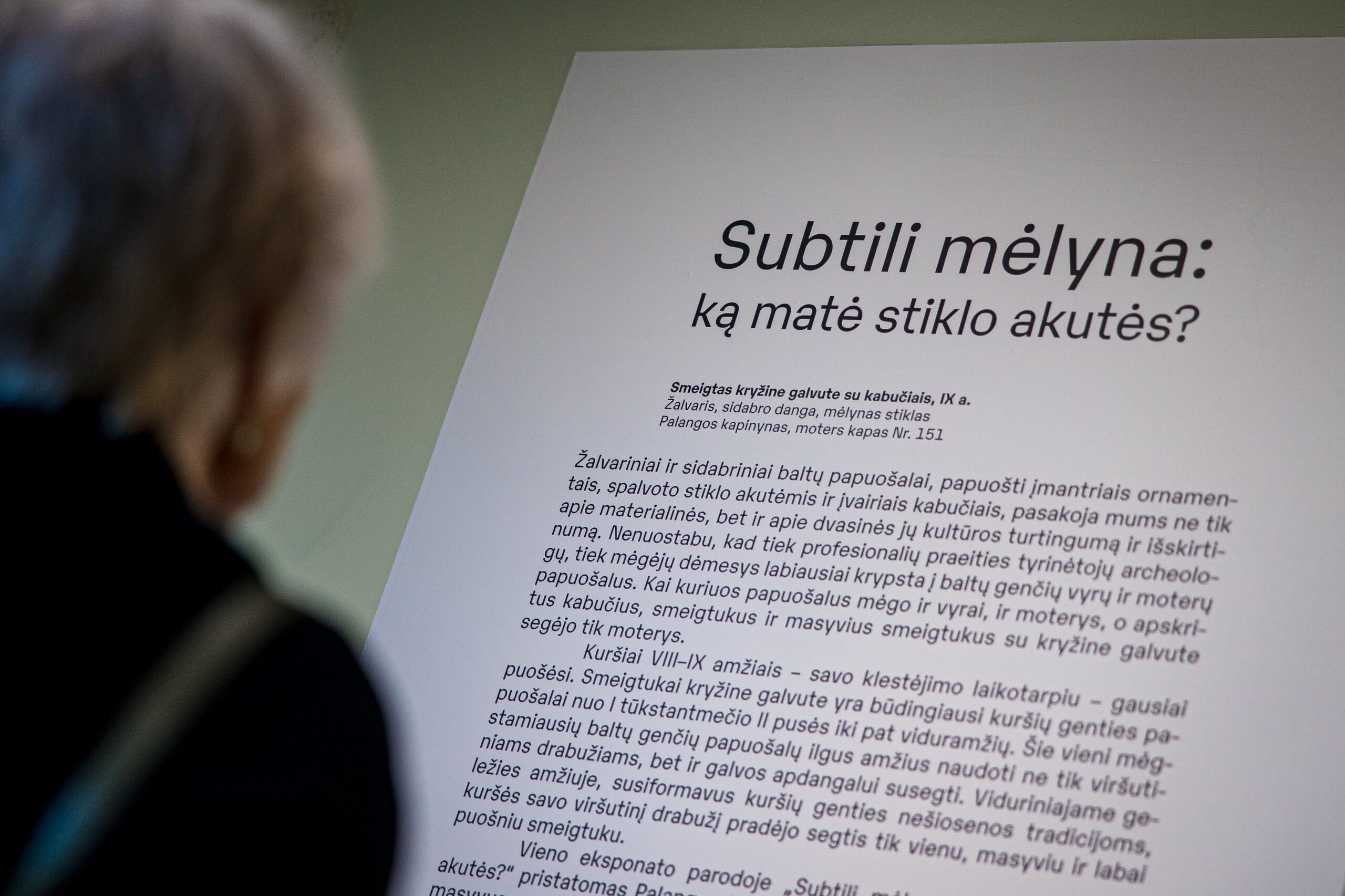 Paroda „Subtili mėlyna: ką matė stiklo akutės?“, Aldo Kazlausko nuotr.