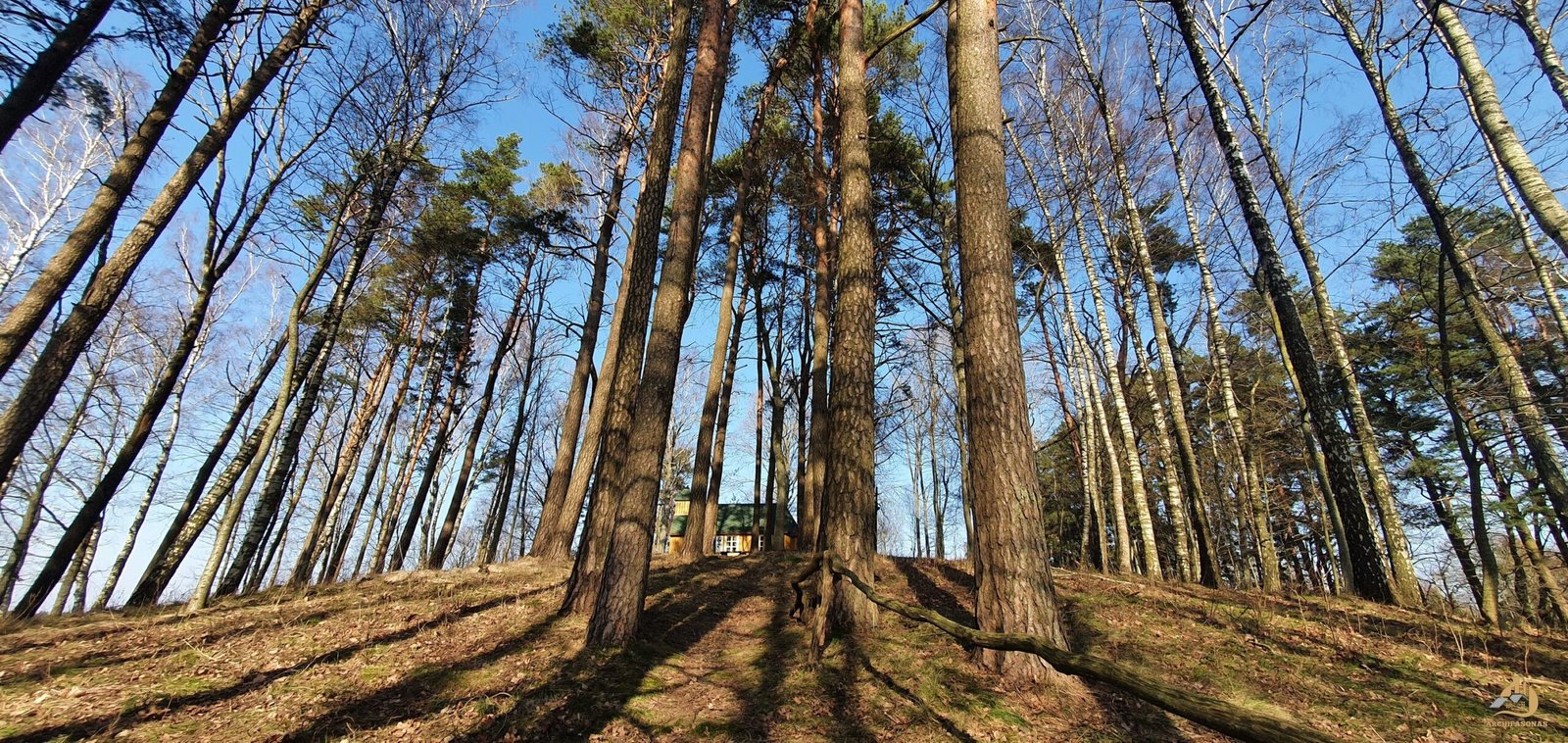 Naujosios Įpilties alkakalnis su Šv. Kryžiaus koplyčia (Kretingos r.), 2024 m. / Archifasono nuotr.