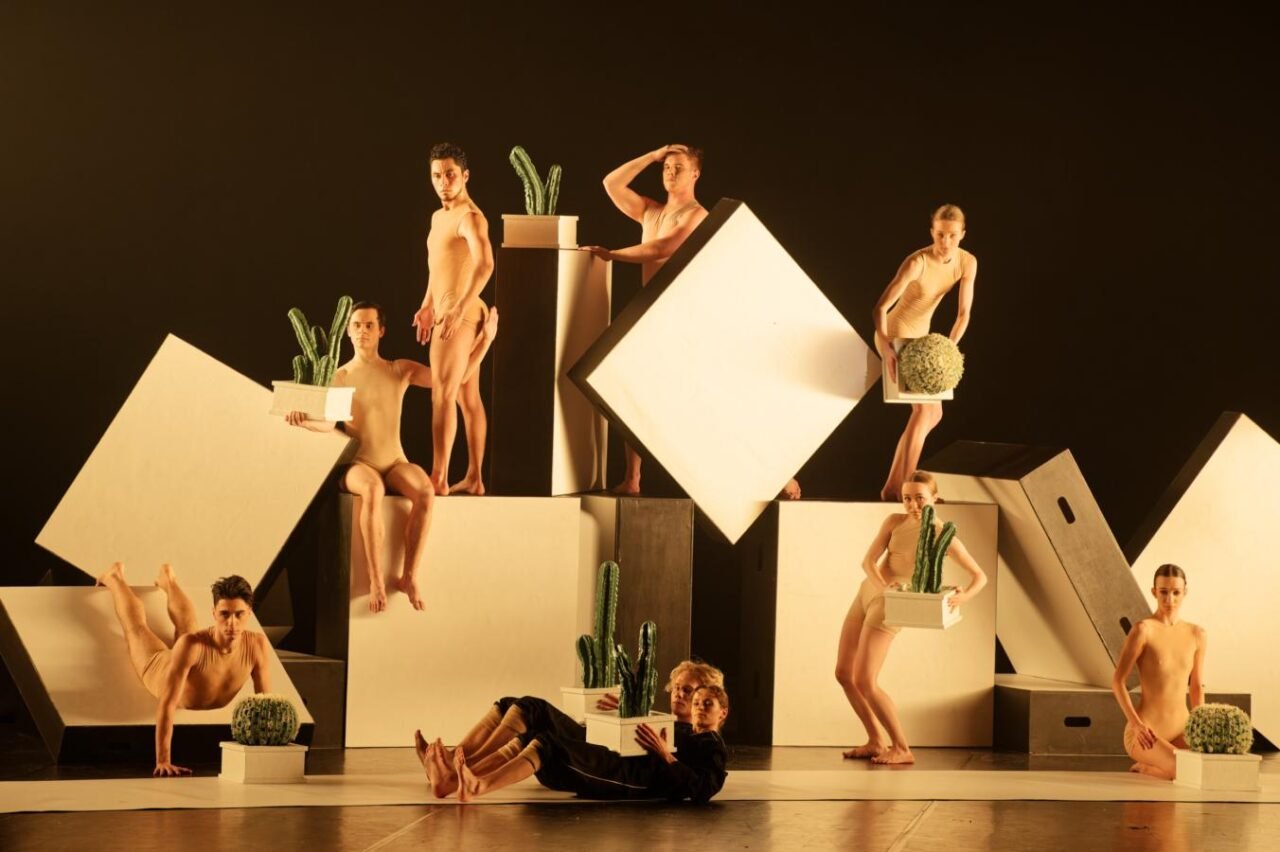 Alexanderio Ekmano (Švedija) „Cacti“ (Kaktusai). Martyno Aleksos nuotr.