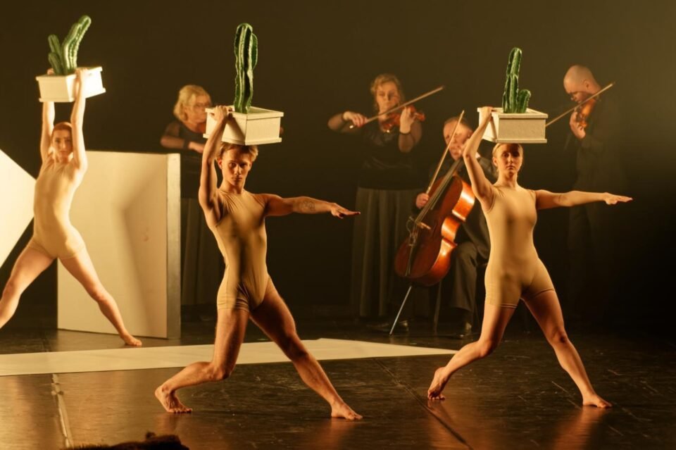 Alexanderio Ekmano (Švedija) „Cacti“ (Kaktusai). Martyno Aleksos nuotr.