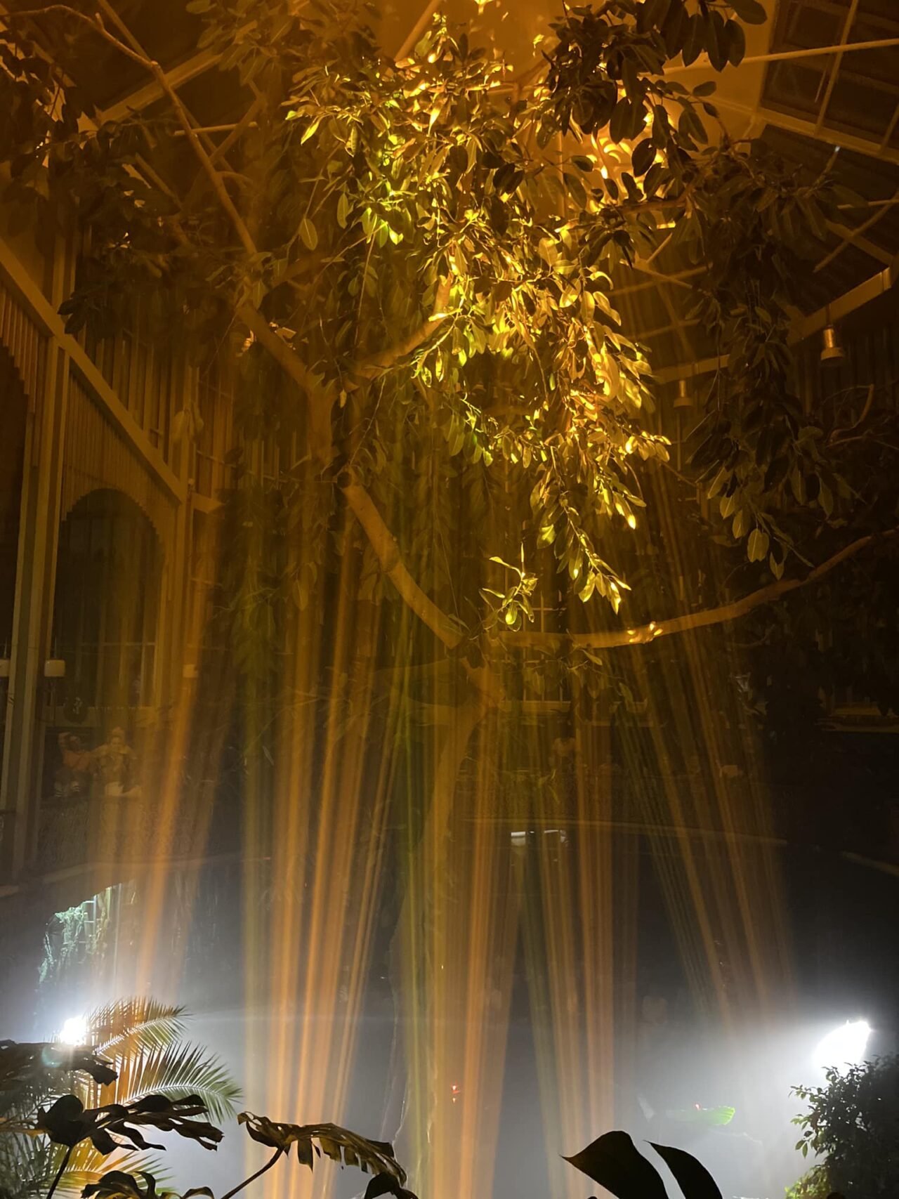 Nuotraukoje - renginio Žiemos sode akimirka.