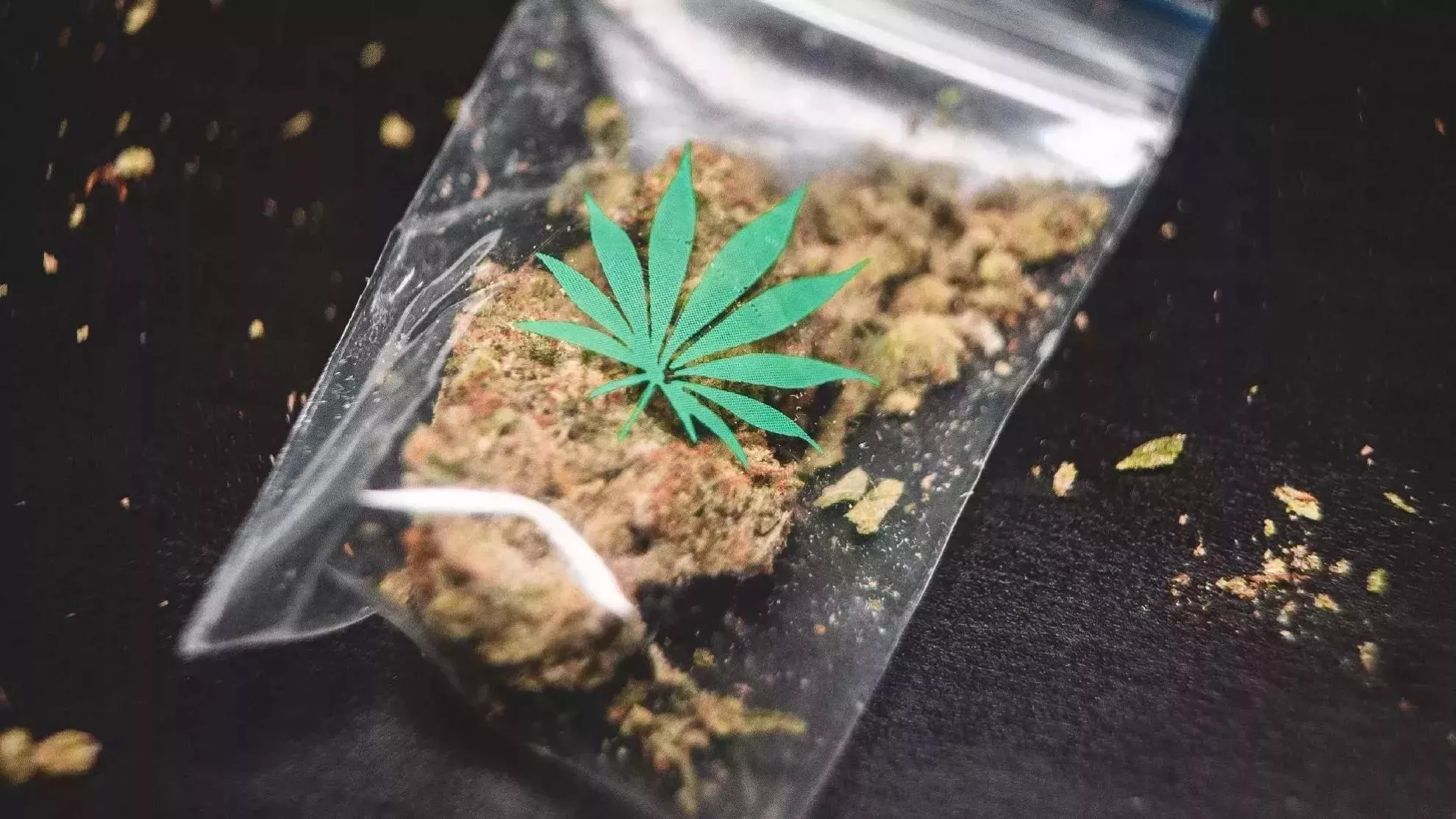 Marihuana (asociatyvi nuotr.) / Unsplash