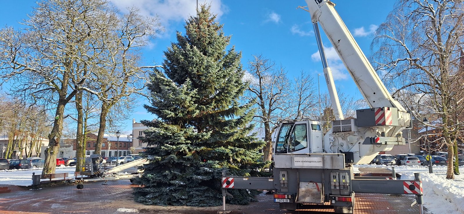 Į Kretingos Rotušės aikštę atkeliavo Kalėdų eglė