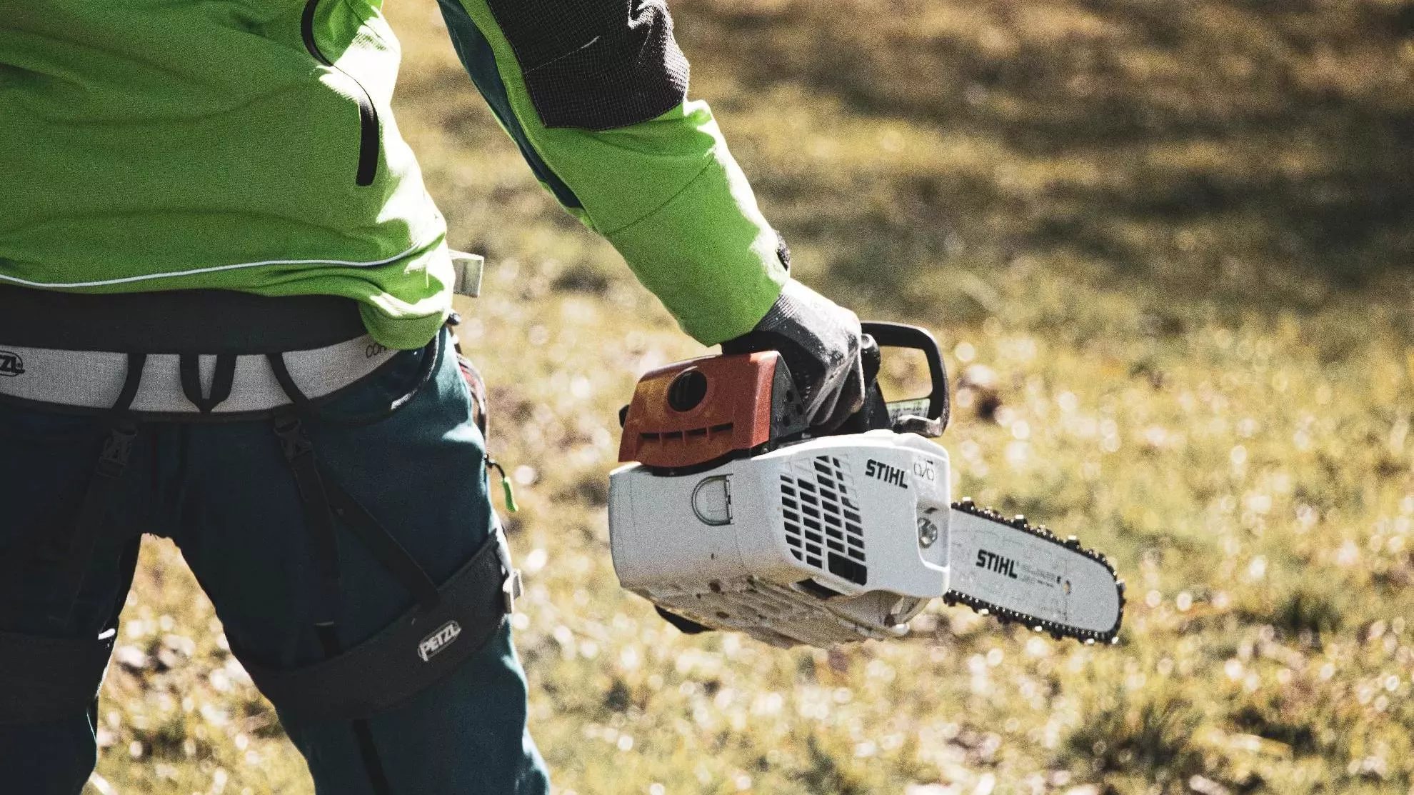 Grandininis pjūklas (asociatyvi nuotr.) / Unsplash