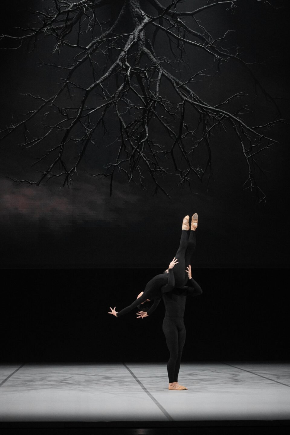 Baletas „Legenda“.  Egle Sabaliauskaite VZX photography