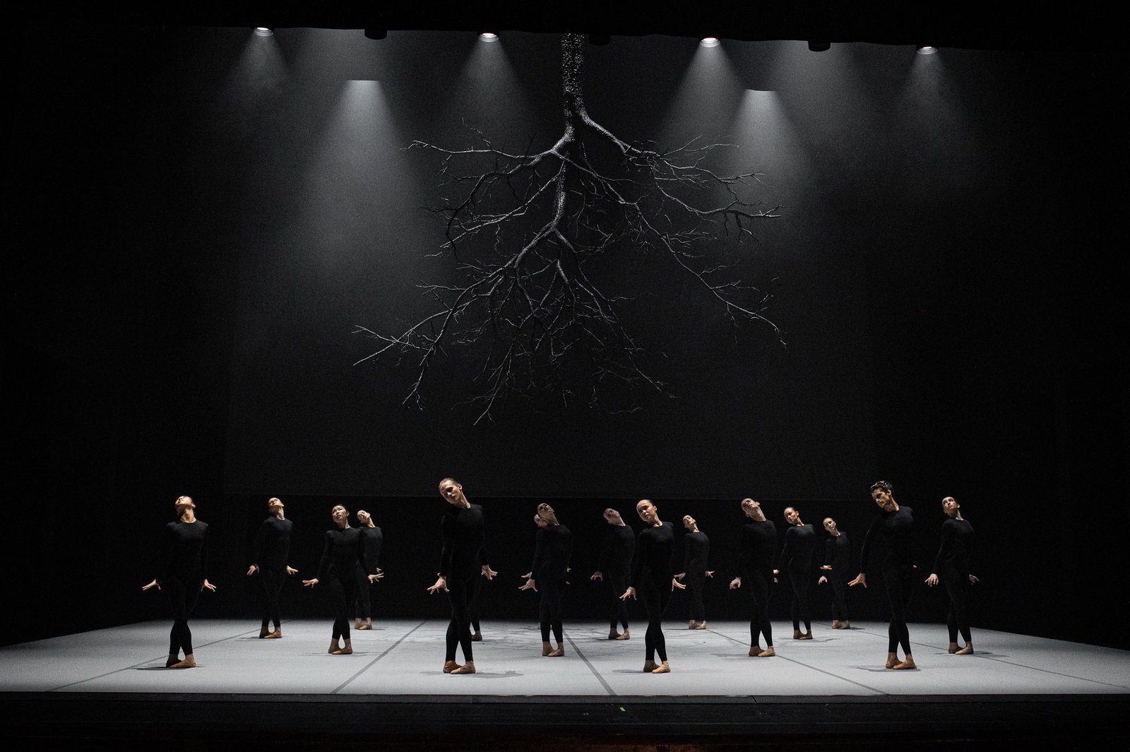 Baletas „Legenda“. Egle Sabaliauskaite VZX photography