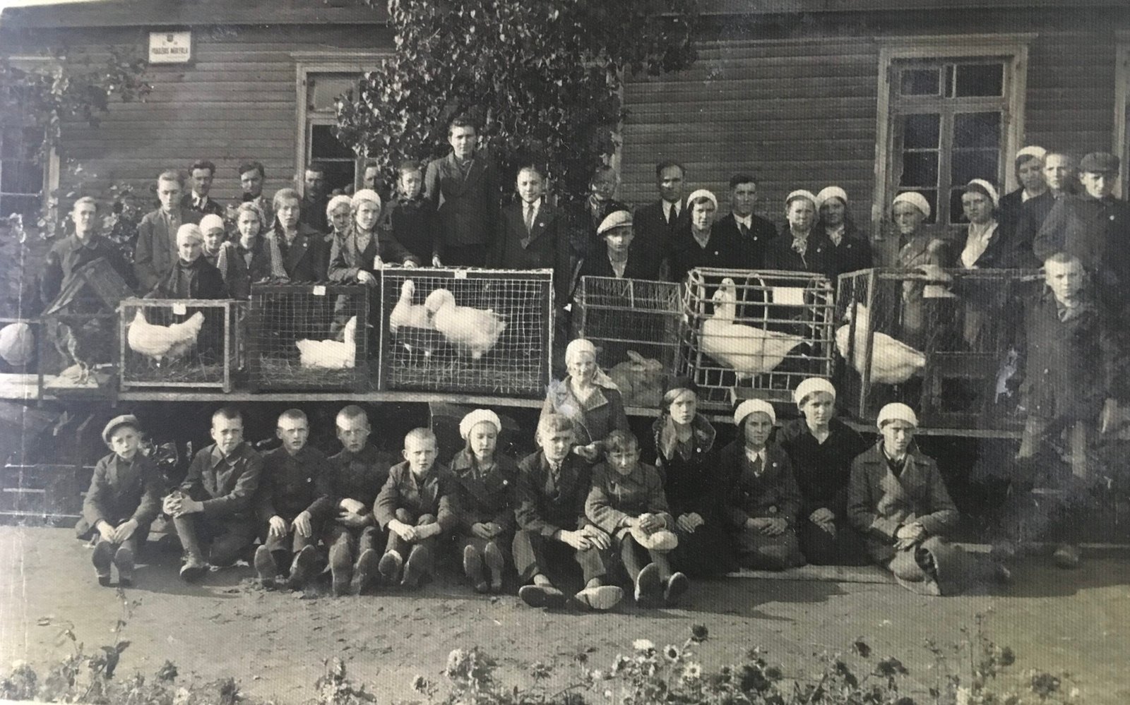 Salantiškiai prie pradžios mokyklos įsiamžino su savo augintiniais naminiais paukščiais ir triušiais. XX a. 4-as deš.