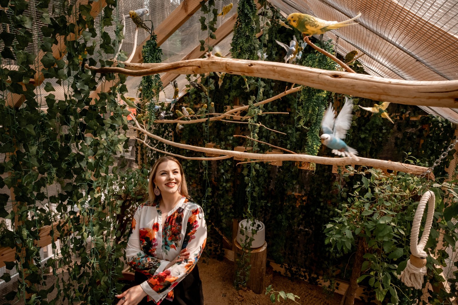 Papūgėlių terapija