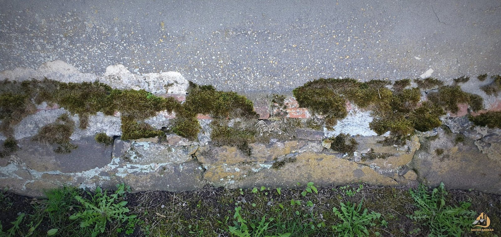 Gargždelės Šv. Barboros kapinių koplyčia (Kretingos r.), 2024 m. / Archifasono nuotr.