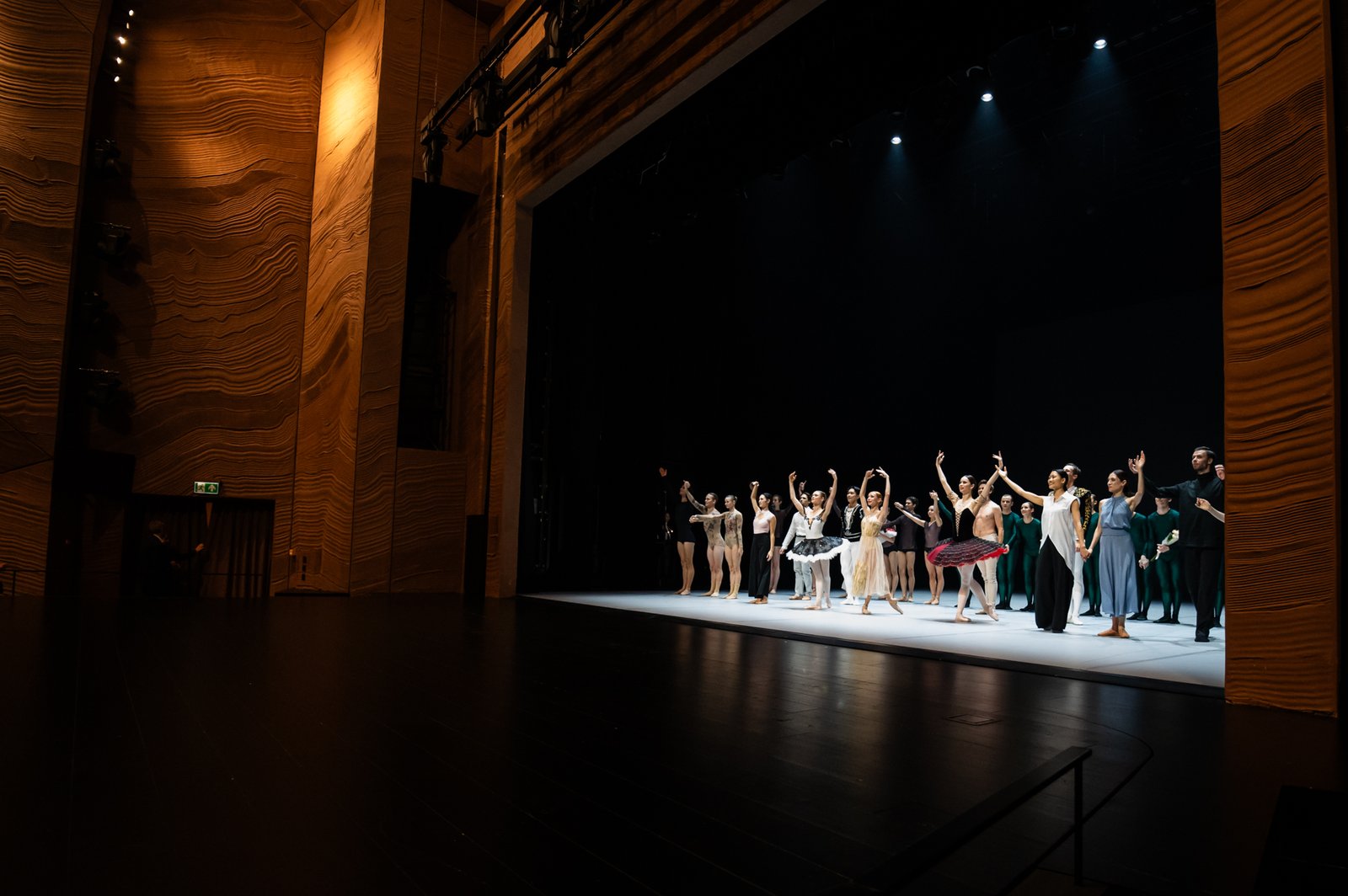 Tarptautinis baleto gala. Eglės Sabaliauskaitės nuotr.