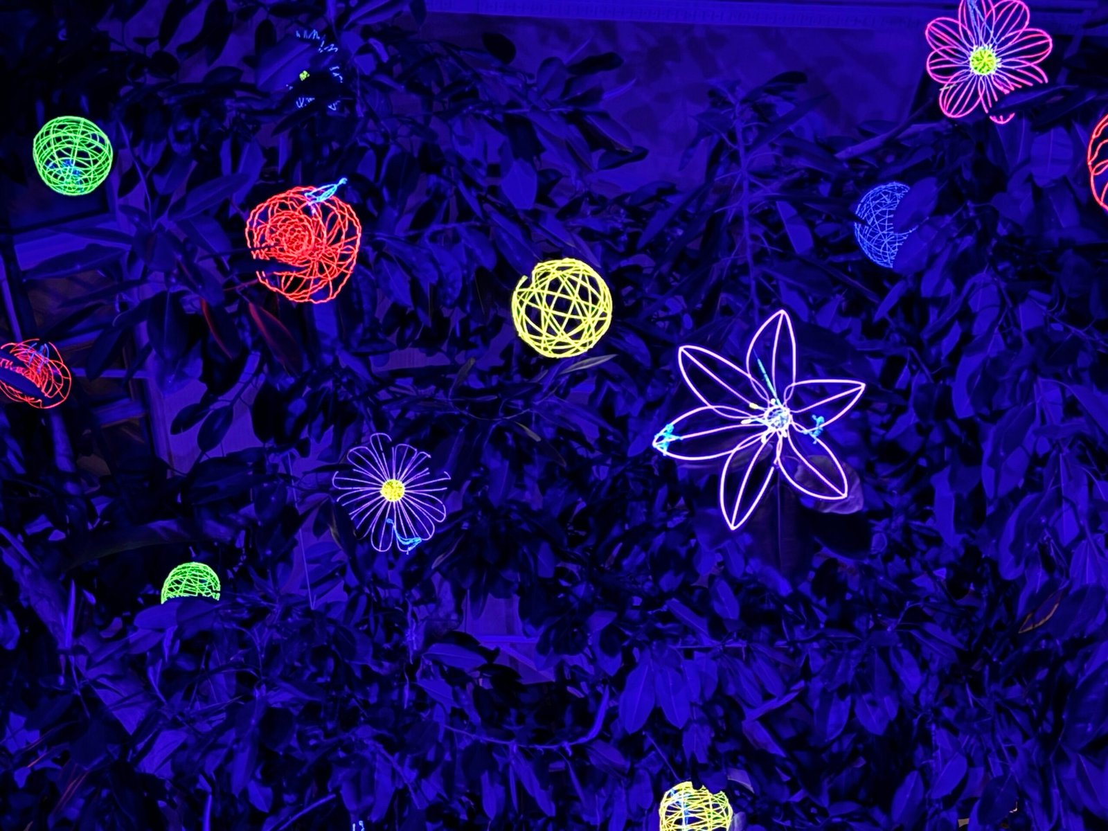 Kretingos muziejaus Žiemos sode rojaus spalvomis pražys „Gyvybės medis“